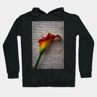 Old Letters And Calla Lilies Hoodie